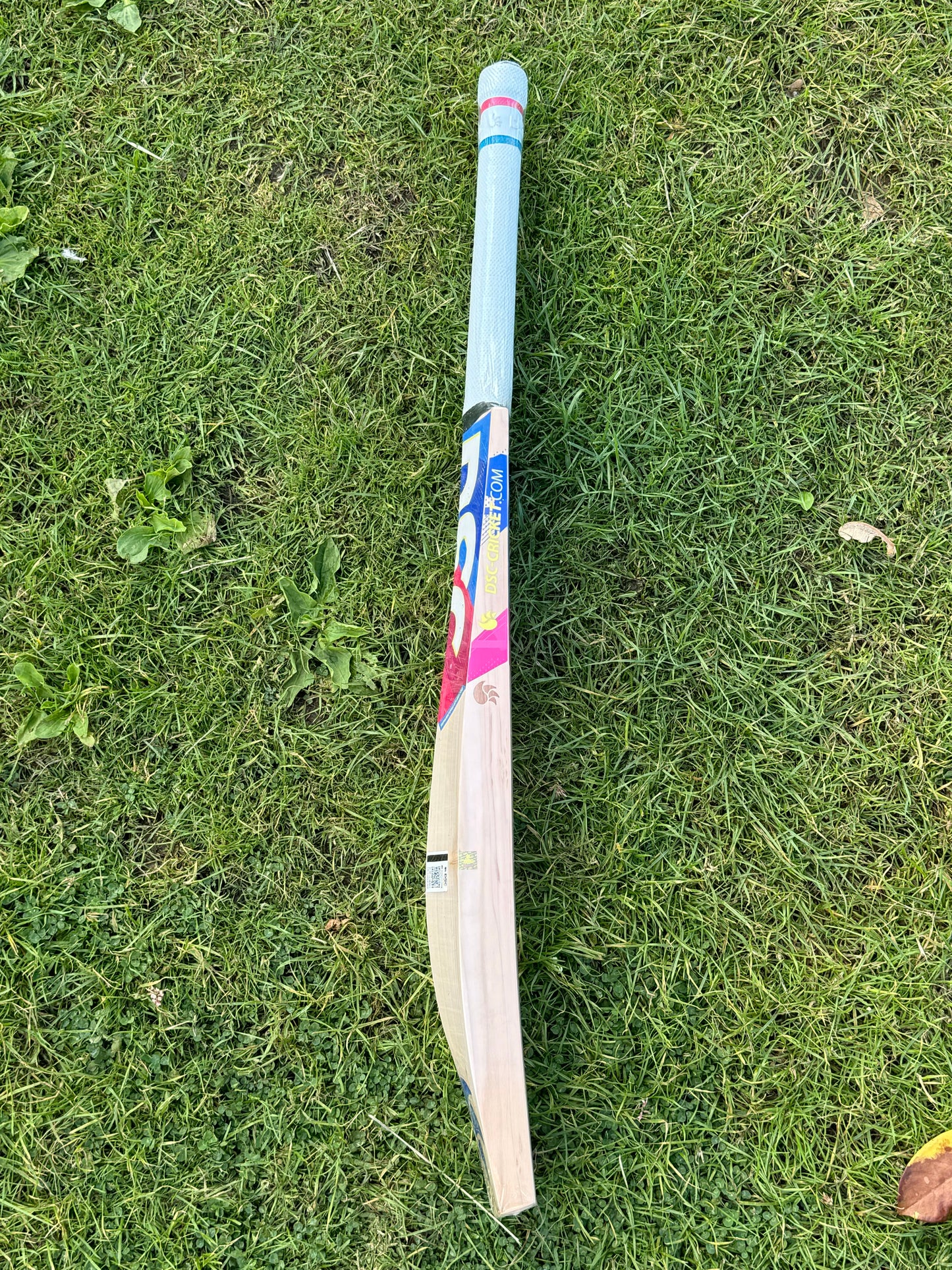 DSC Intense Speed Bat