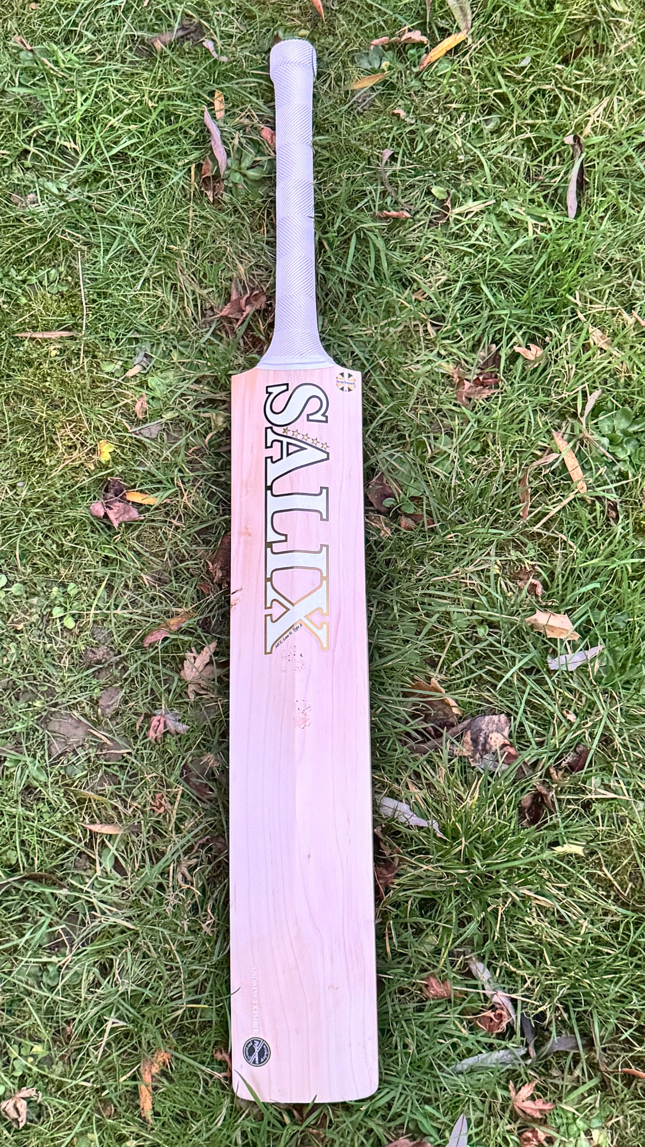 Salix grade 1 performance