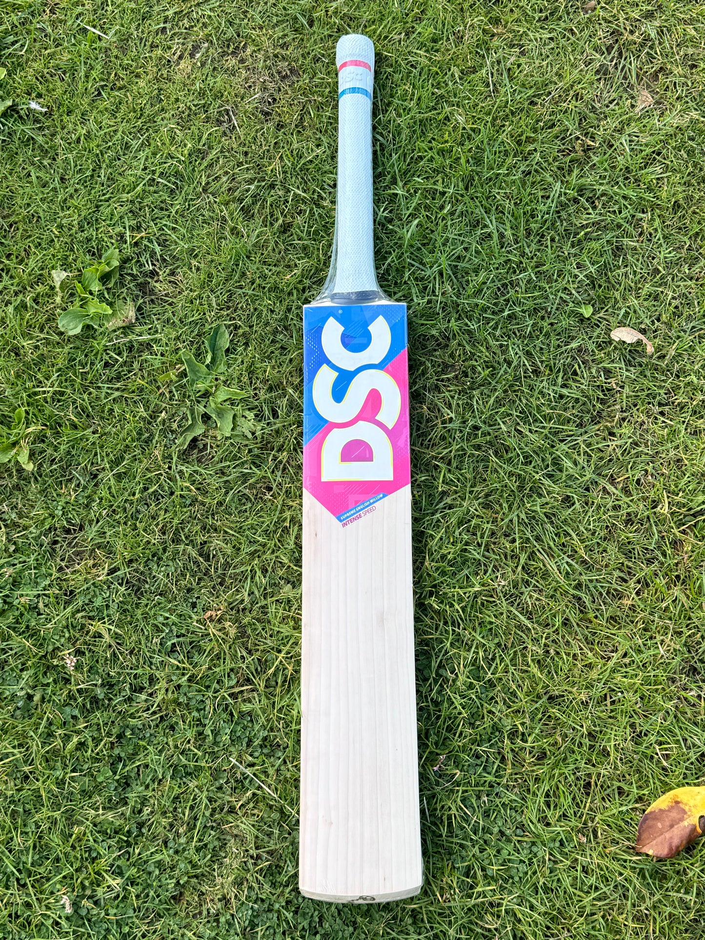 DSC Intense Speed Bat