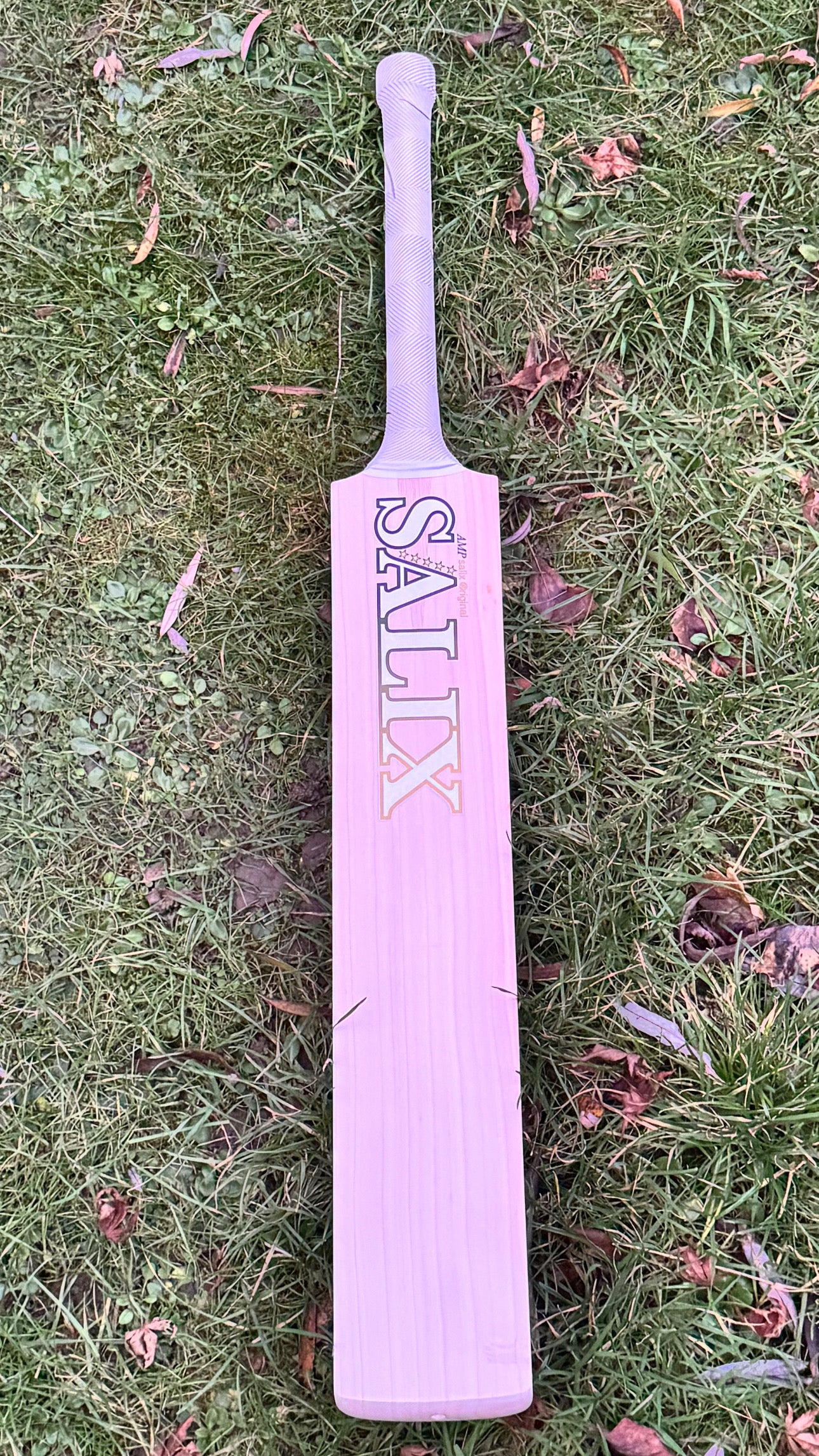 Salix grade 1 performance