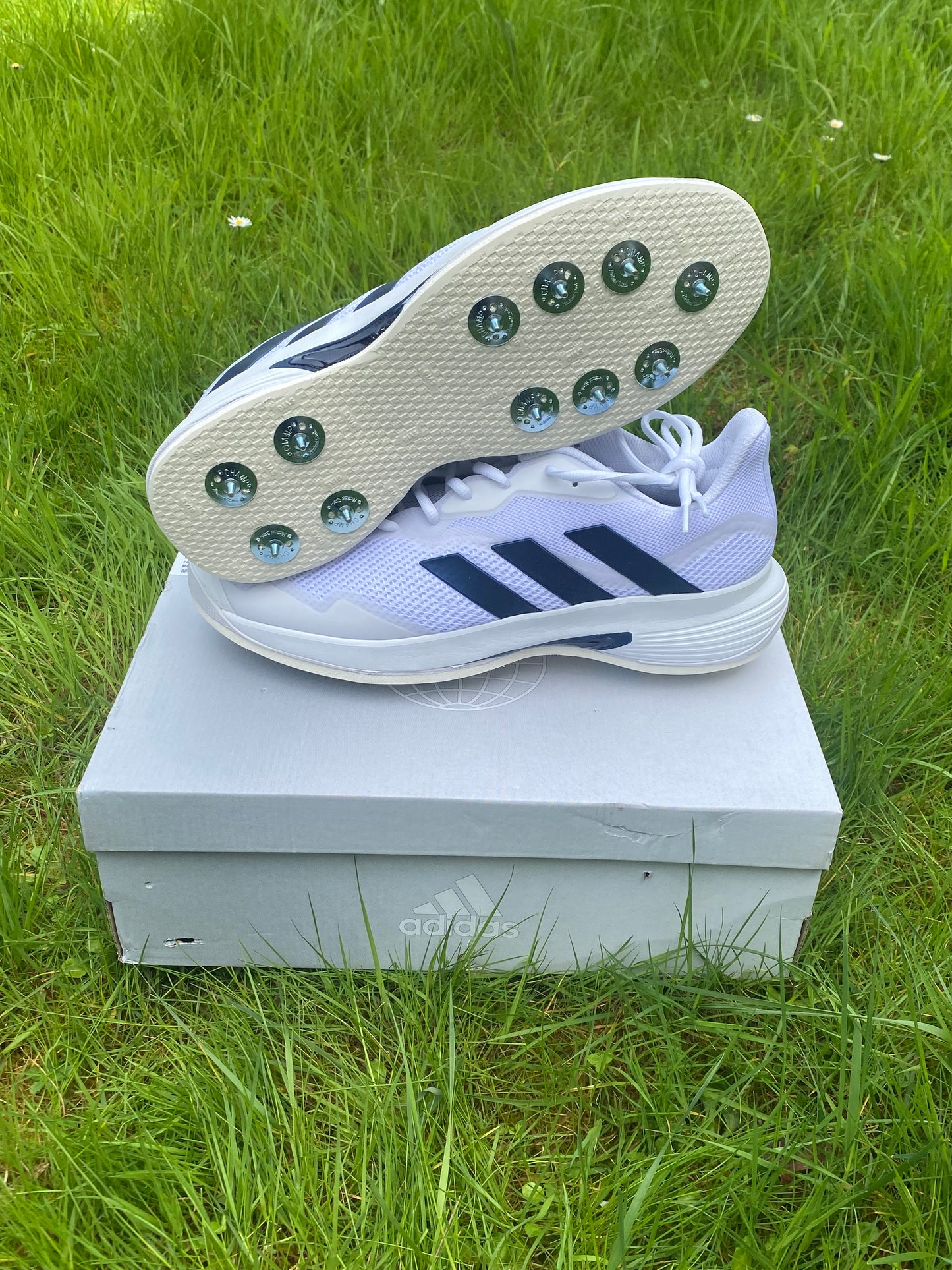 Adidas CourtJam Spikes