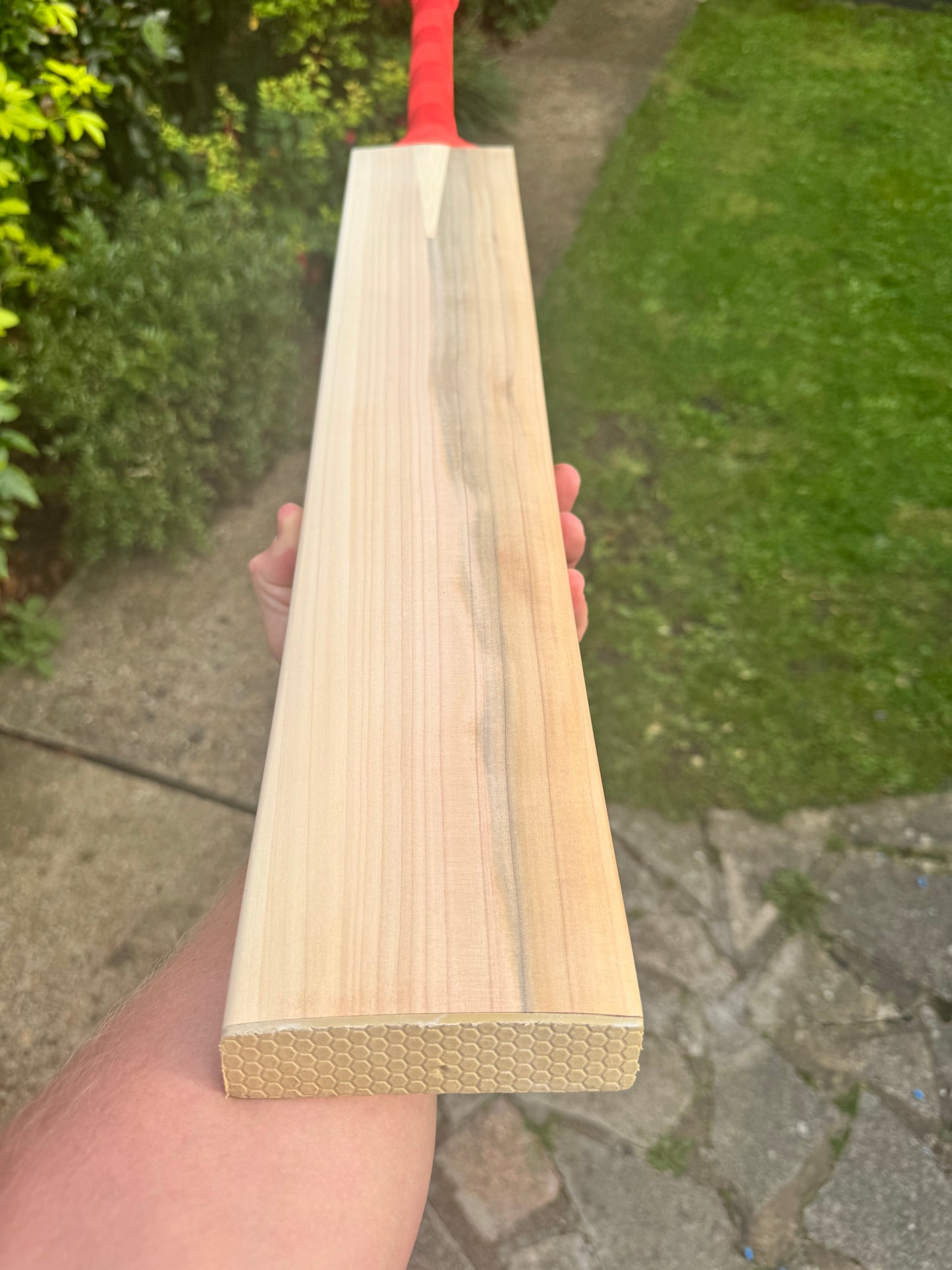 Mullet Premium grade (blue wood)