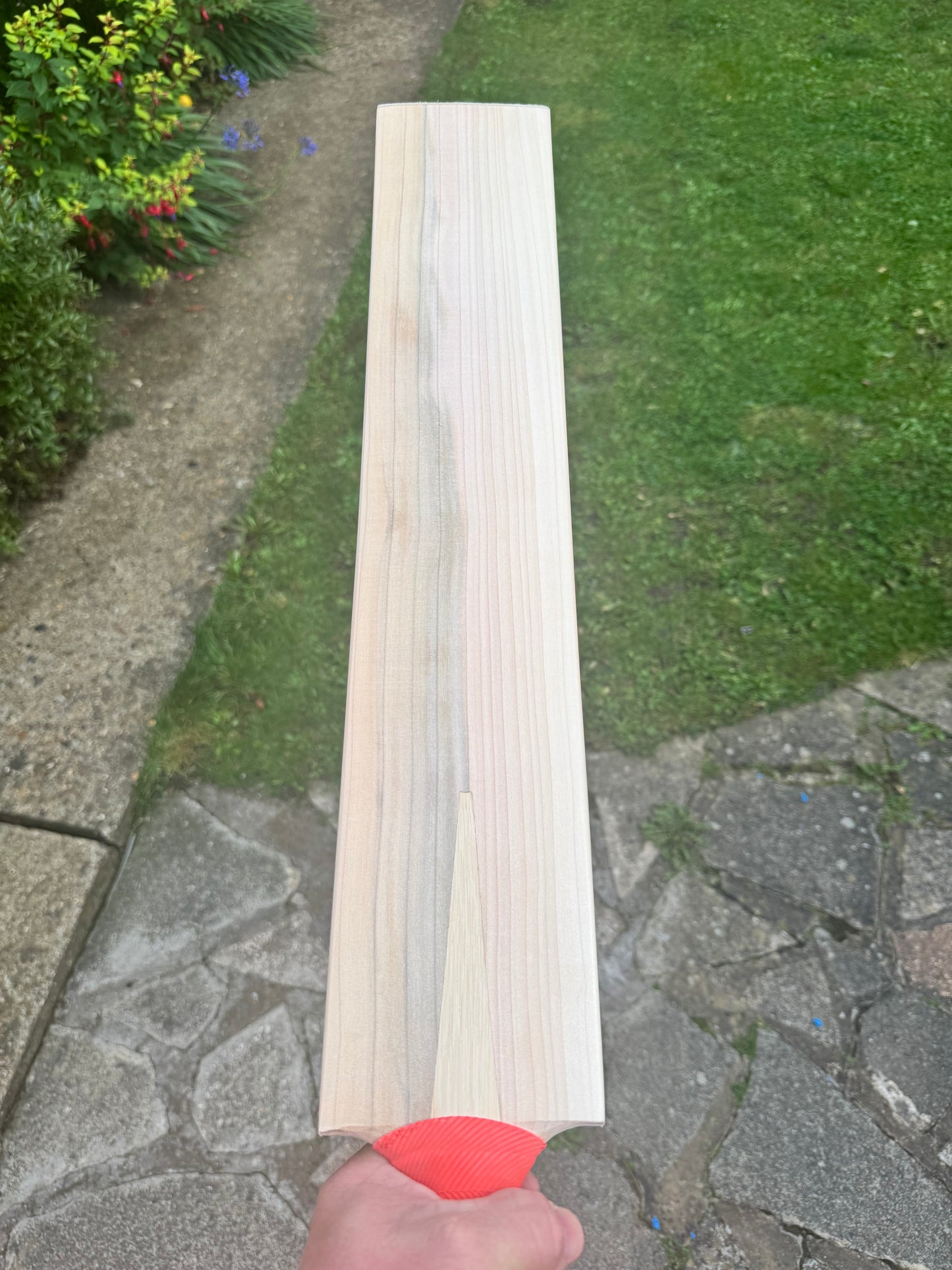 Mullet Premium grade (blue wood)