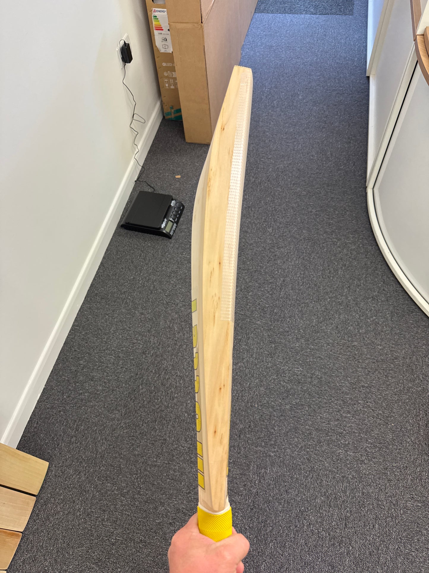 Jason Roy Pro Bat
