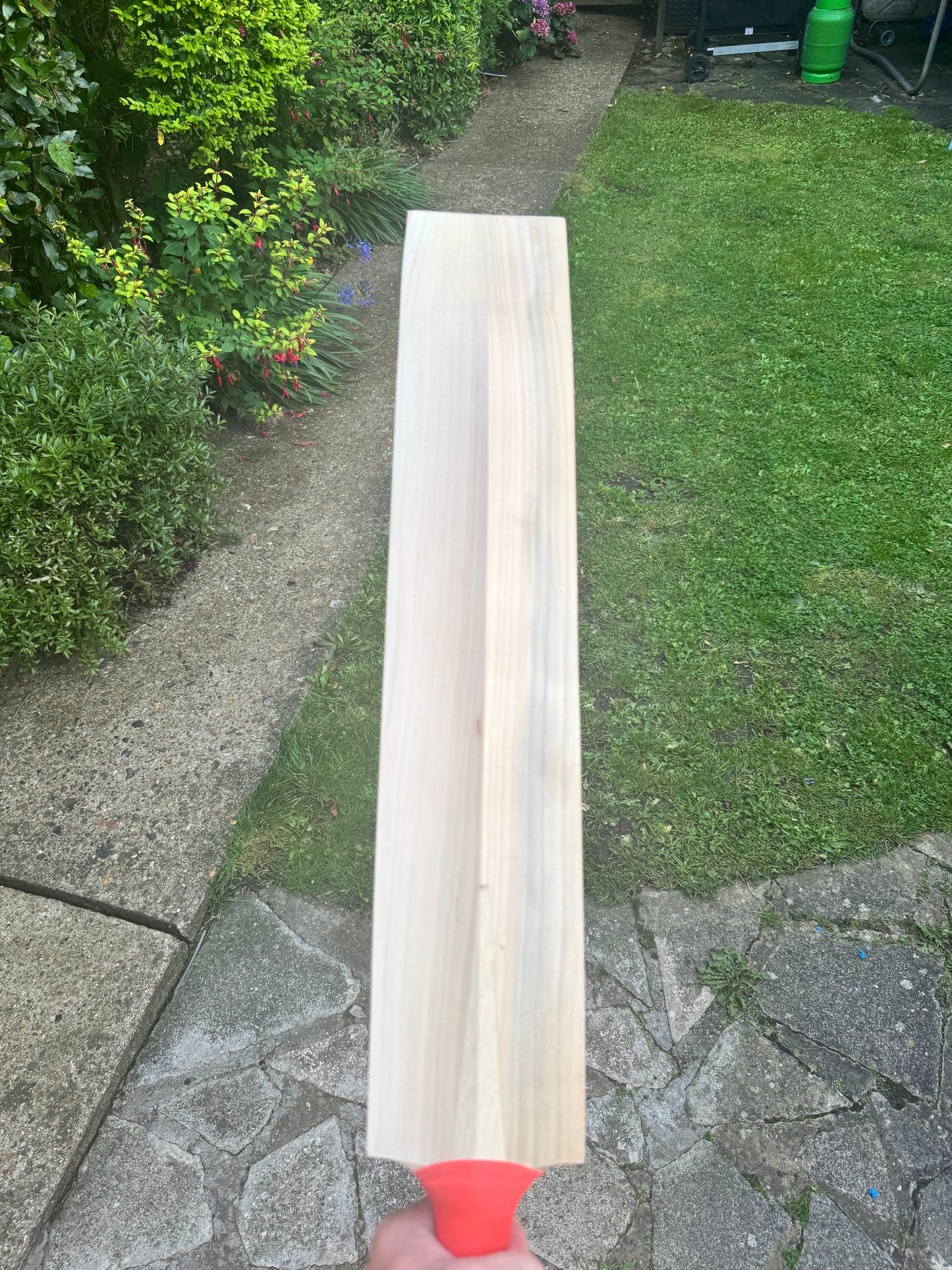 Mullet Premium grade (blue wood)