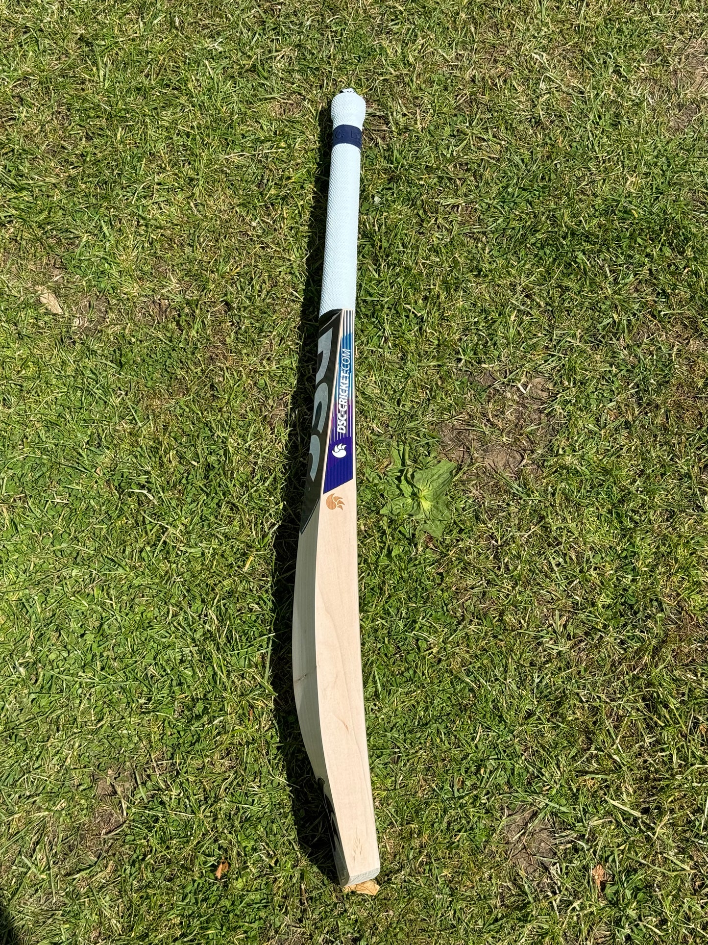 DSC Blu 450 Cricket Bat