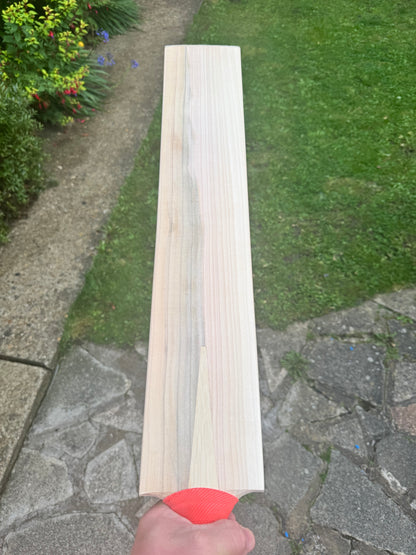 Mullet Premium grade (blue wood)